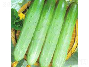 �Ø�-�S�ϷN��-���A�N�I(y��)