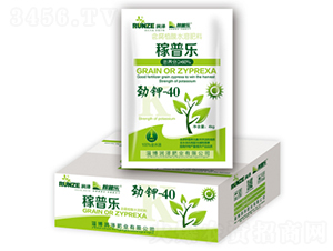 ���-40-���՘�-��(r��n)�ɷʘI(y��)