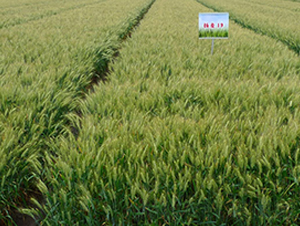 �P(y��ng)��19-С���N��-���r(n��ng)�l(f��)