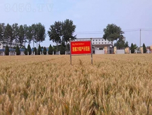 ����29-С���N��-���r(n��ng)�l(f��)