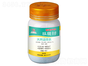 �����\-�������