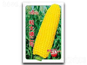 ճ�����̖(h��o)-Ŵ���׷N��-����˹