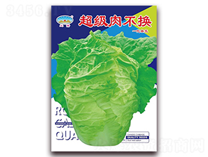 超級肉不換-白菜種子-天和種業(yè)