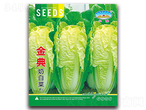 ����̰ײ�-�ײ˷N��-��ͷN�I(y��)