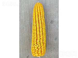 ���622-���׷N��-���N�I(y��)