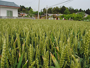 ������6̖(h��o)-С���N��-�����r(n��ng)�I(y��)