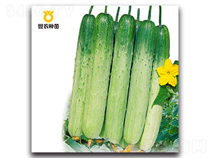 �����״�-�S�ϷN��-���r(n��ng)�N��