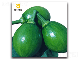 SNͨ��-�ϹϷN��-���r(n��ng)�N��