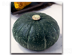 SN����-�ϹϷN��-���r(n��ng)�N��