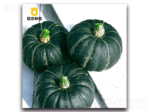 ����ؐؐ-�ϹϷN��-���r(n��ng)�N��