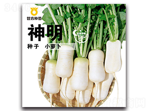 ����С�}��-�}���N��-���r(n��ng)�N��