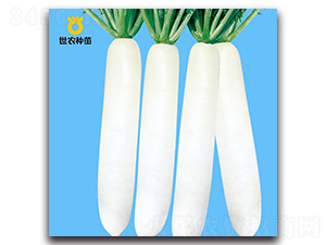 YR�״�-�}���N��-���r(n��ng)�N��