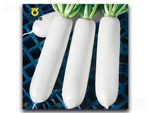 ����-�}���N��-���r(n��ng)�N��