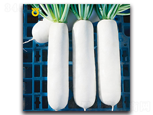 �蝍-�}���N��-���r(n��ng)�N��