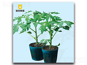 ����2̖-������ľ�N��-���r(n��ng)�N��