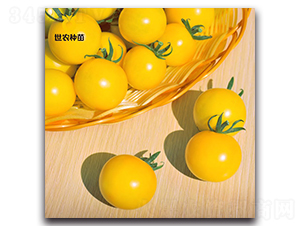 ���-���ѷN��-���r�N��