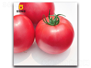 ����-���ѷN��-���r(n��ng)�N��