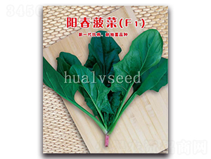 ꖴ�����F1-���˷N��-�A�G