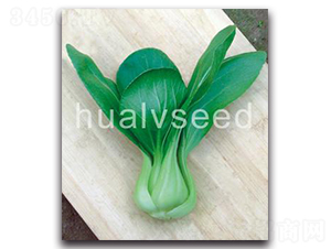 ����С���-��˷N��-�A�G