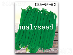 濃綠一號青刀豆-青刀豆種子-華綠
