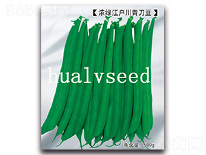 濃綠江戶川青刀豆-青刀豆種子-華綠
