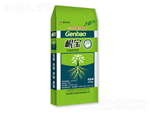 �����ЙC(j��)��-����-��������