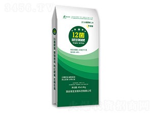 ���������ЙC(j��)��-12��-��������