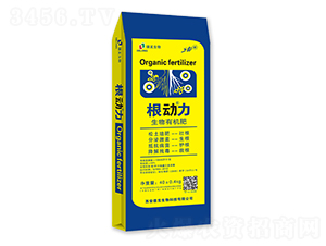 �����ЙC��-������-��������