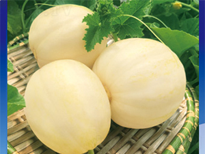 ����17-��ϷN��-����N�I(y��)