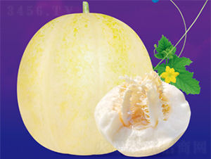 ����ŷ�-��ϷN��-����N�I(y��)