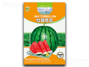 紅甜西瓜-西瓜種子-豫輝種業(yè)