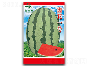 �λ�һ̖-���ϷN��-ԥ�x�N�I(y��)