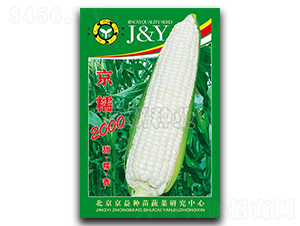 ��Ŵ2000-Ŵ���׷N��-��(gu��)�зN�I(y��)