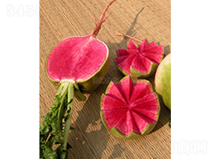 ��M�t�s���}��-�}���N��-���зN�I(y��)