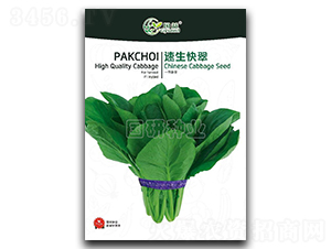 速生快翠-小白菜種子-國研種業(yè)