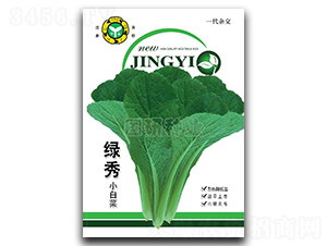 綠秀-小白菜種子-國(guó)研種業(yè)