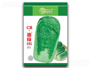 CR油綠101-白菜種子-國研種業(yè)