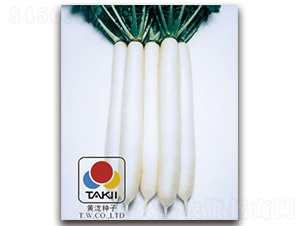 �׌�܊-�}���N��-�S�{�N��