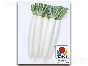 ��ѩ-�}���N��-�S�{�N��