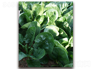 TI-11W-���˷N��-�S�{�N��