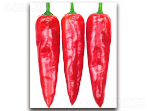 ���_��-�𽷷N��-�S�{�N��