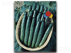 ����Ɲ-�S�ϷN��-�S�{�N��