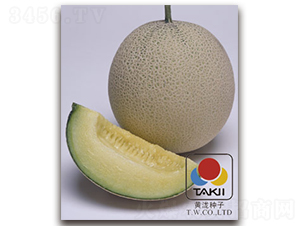 TI-112-��ϷN��-�S�{�N��