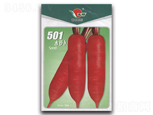 501ˮ�}��-�}���N��-�ʴ��r(n��ng)�I(y��)