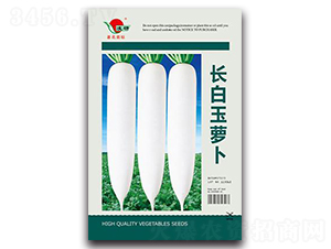 �L�����}��-�}���N��-�ʴ��r(n��ng)�I(y��)