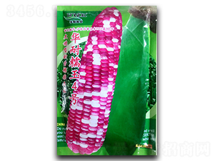 �A��Ŵ��4̖(h��o)-���׷N��-�������