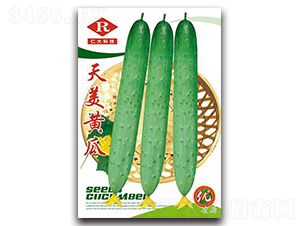 �����S��-�S�ϷN��-�ʴ��r(n��ng)�I(y��)