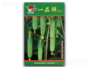 һƷ�r�S��-�S�ϷN��-�ʴ��r�I(y��)