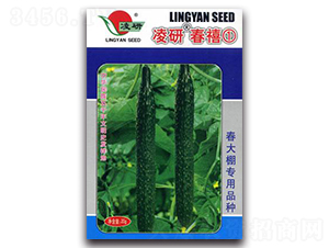 ���д�����-�S�ϷN��-�ʴ��r�I(y��)