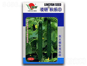 �������-�S�ϷN��-�ʴ��r�I(y��)